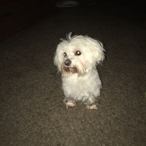 Meet your Posher, Beth